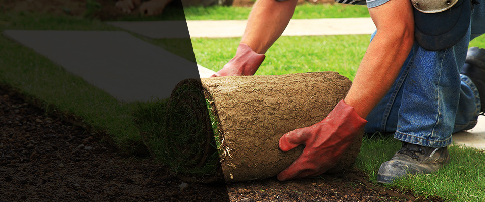 Lake Stevens Landscapers